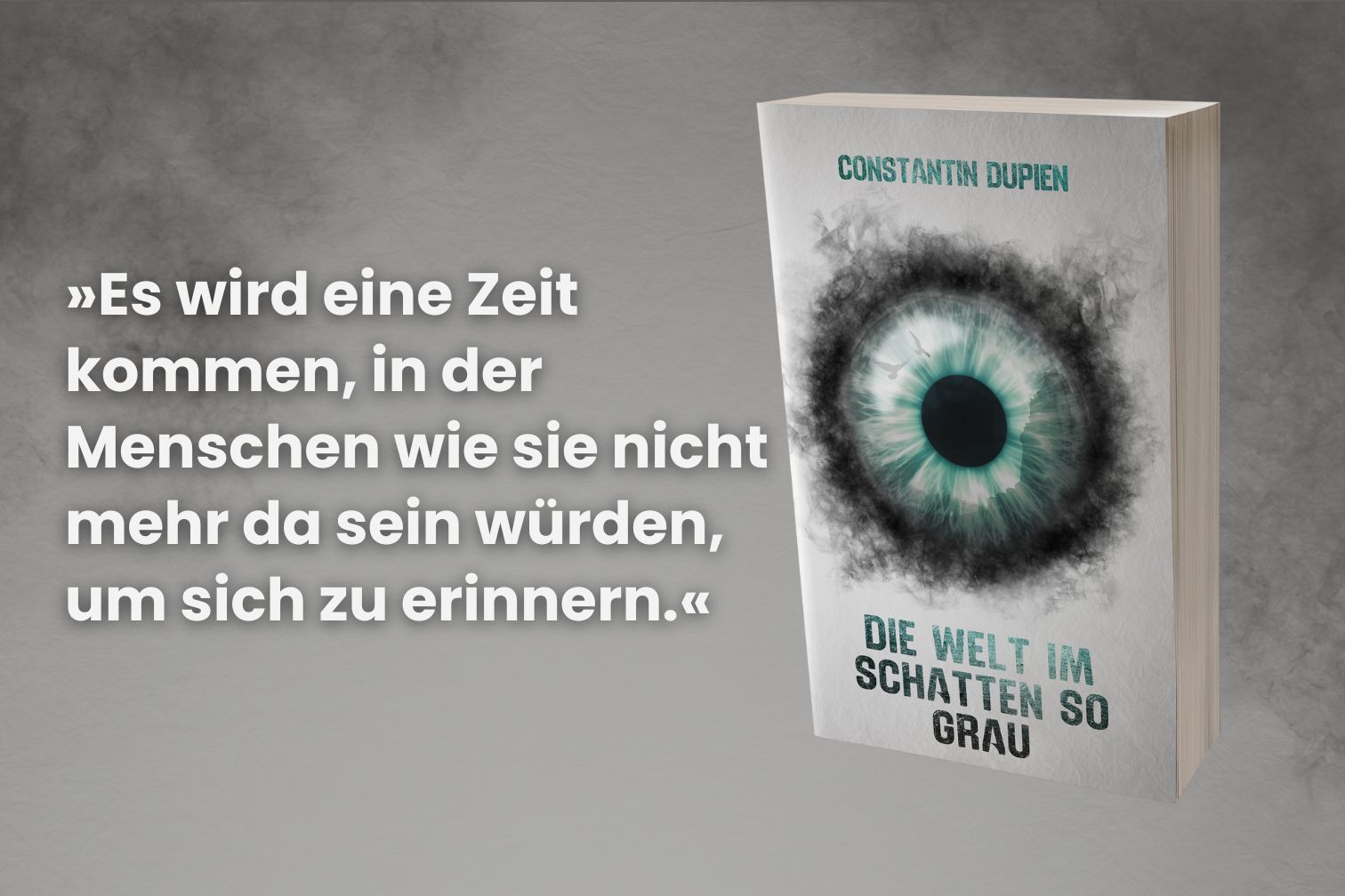 Die Welt im Schatten so grau Buchcover mit Zitat